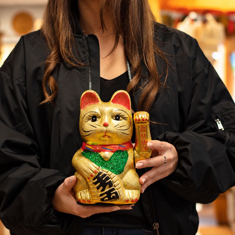 Large Money Cat