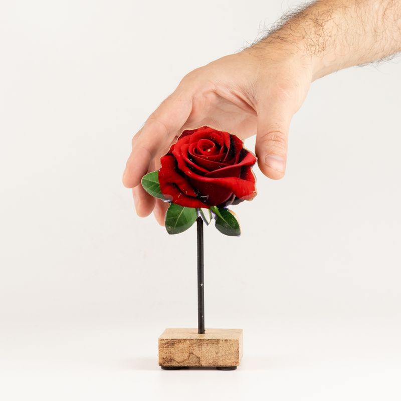 Wooden House Plants - Mini Single Rose