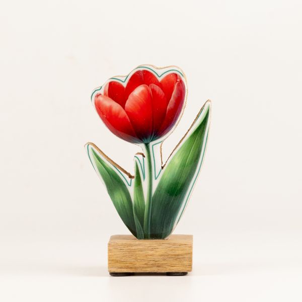 Wooden House Plants - Mini Tulip