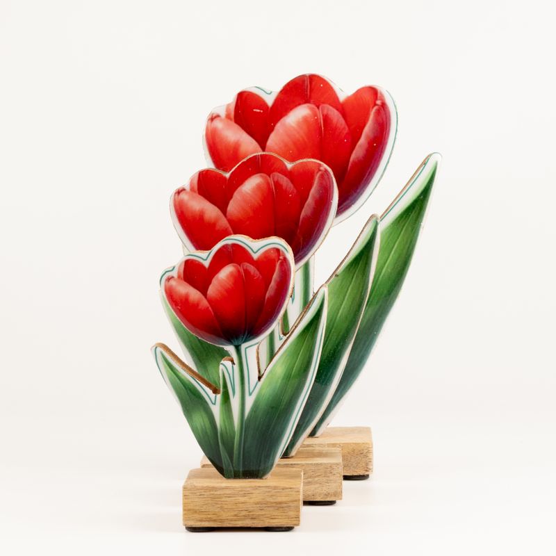Wooden House Plants - Mini Tulip
