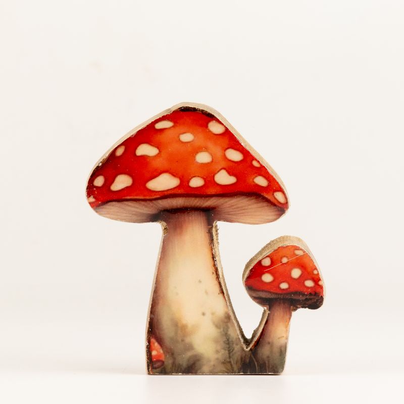 Wooden House Plants - Mini Redcap Mushroom