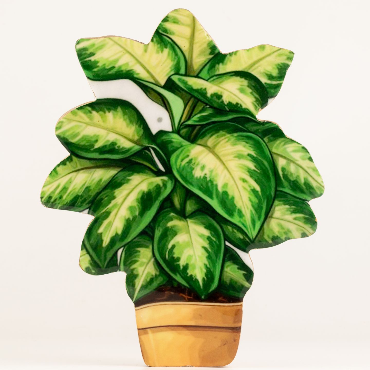 Wooden House Plants