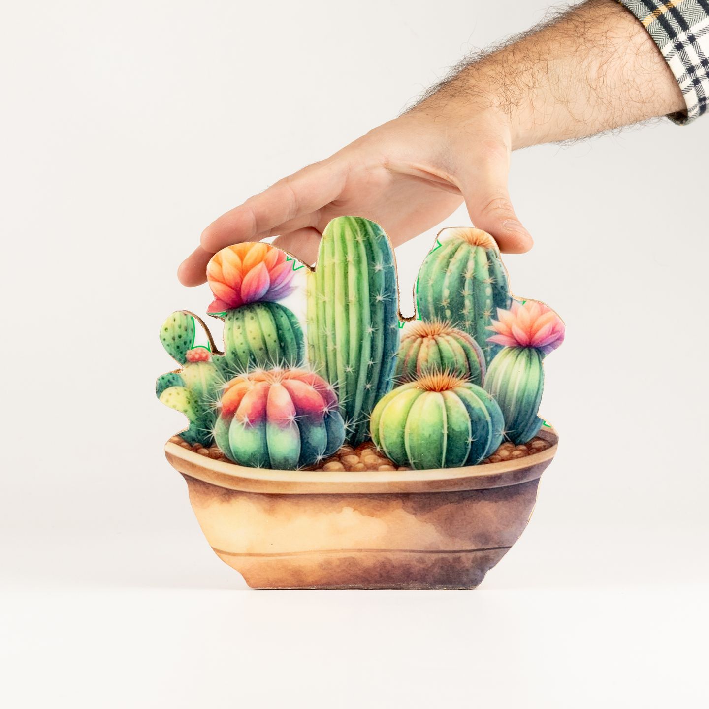 Wooden House Plants