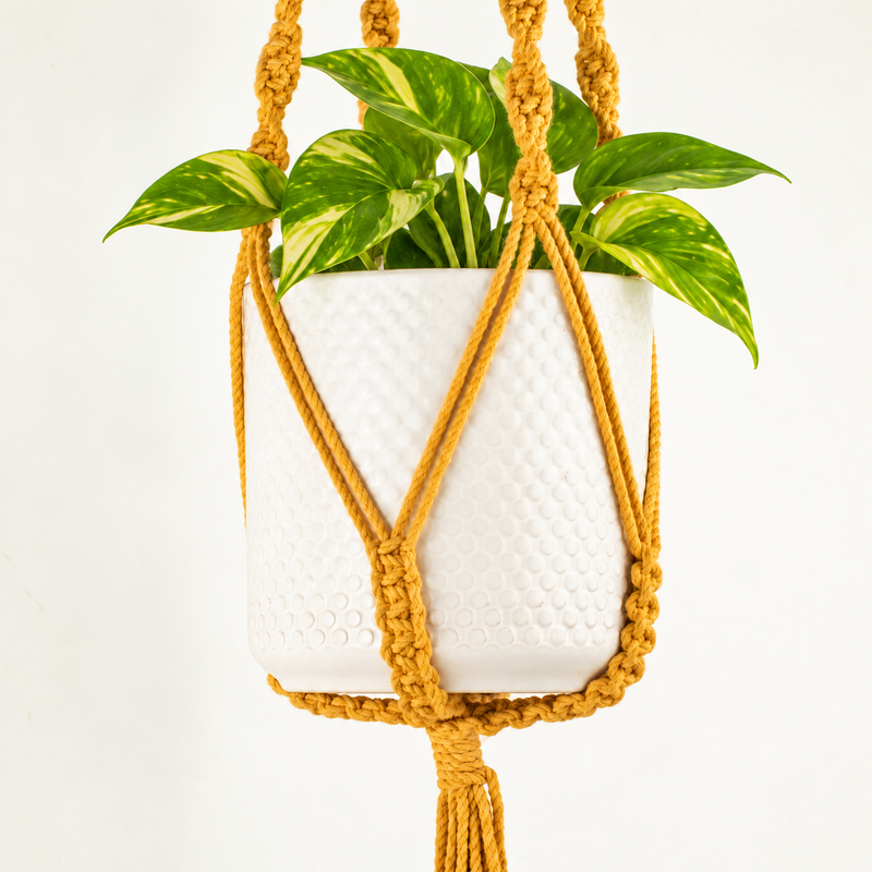 Simple Macrame Pot Holder - Mustard