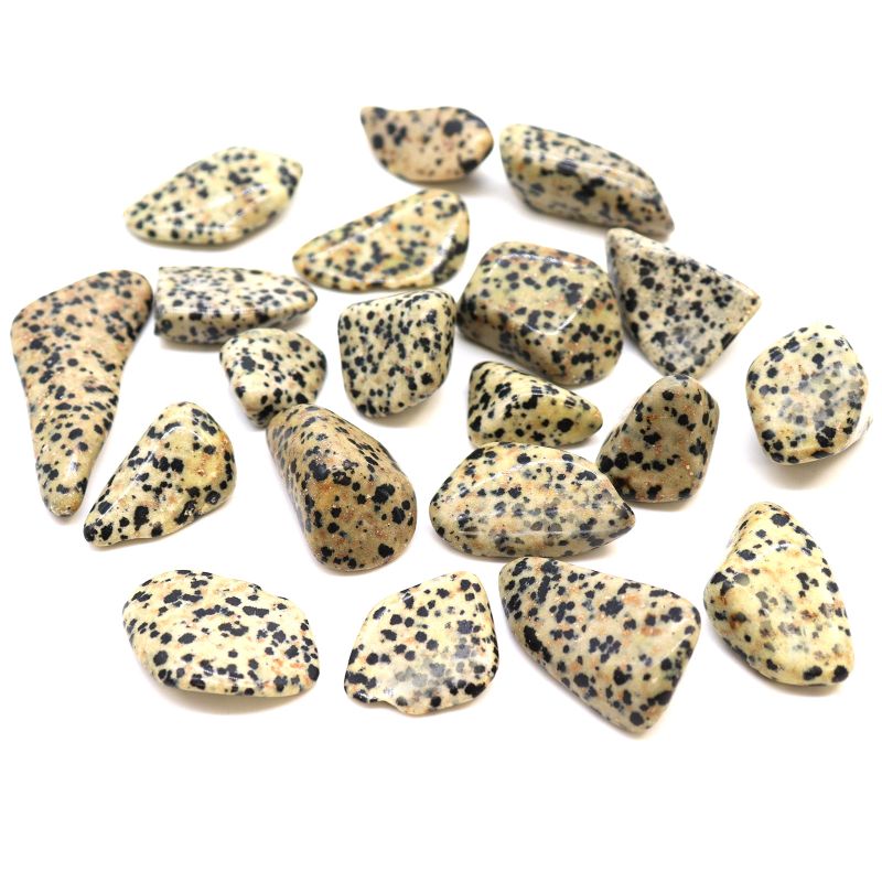 L Tumble Stone - Dalmation Stone