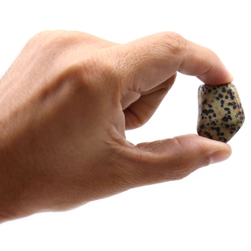 L Tumble Stone - Dalmation Stone