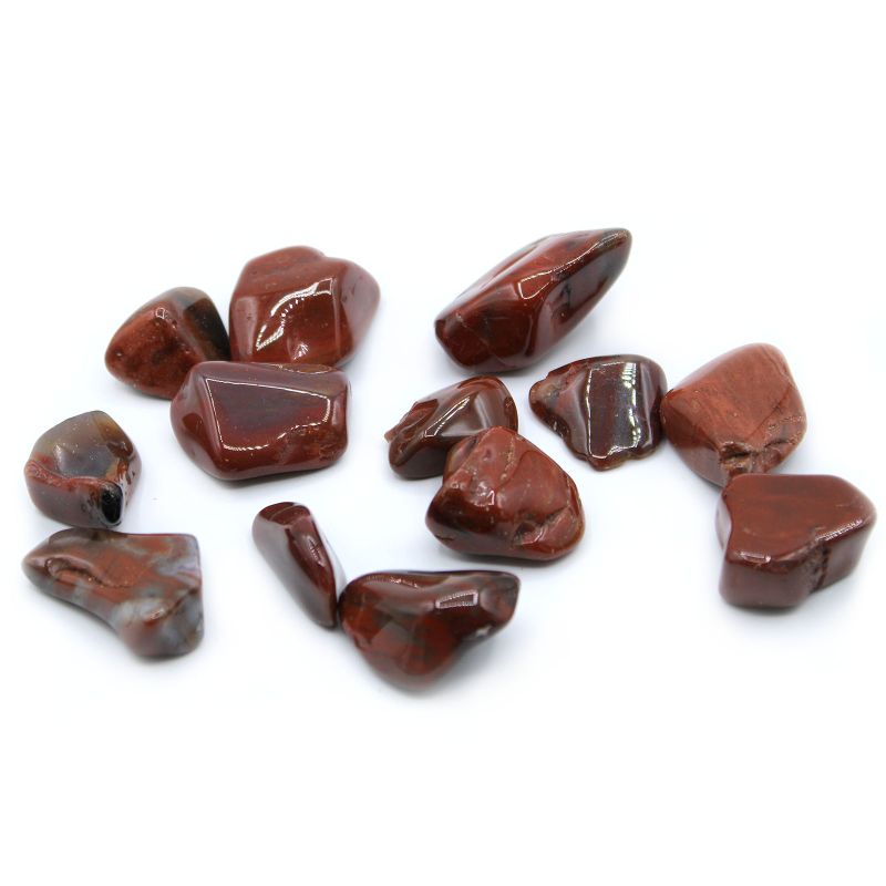 L Tumble Stone - Petrified Wood