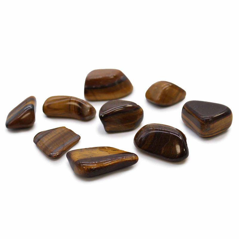 L Tumble Stone - Tiger Eye - Gold