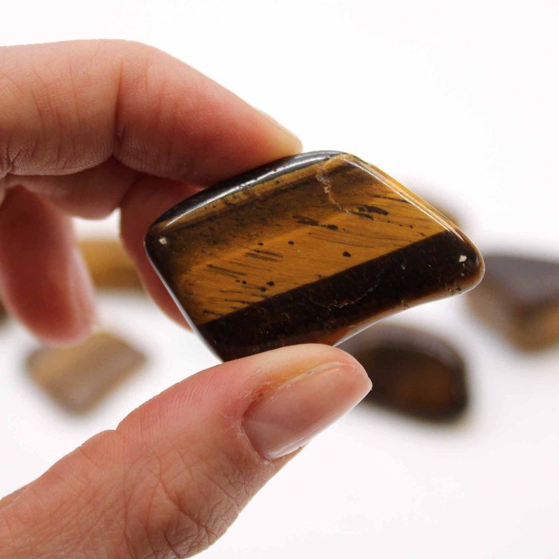 L Tumble Stone - Tiger Eye - Gold