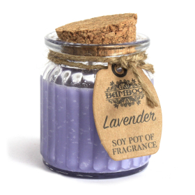 6x Lavender Soy Pot of Fragrance Candles