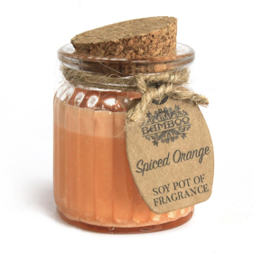 6x Spiced Orange Soy Pot of Fragrance Candles