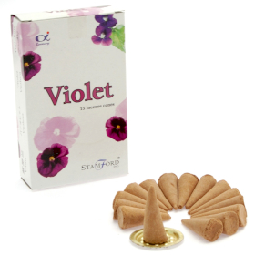 12x Violet Cones