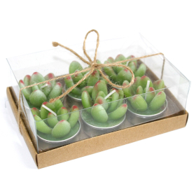 5x Set of 6 Succulent Cactus Tealights in Gift Box