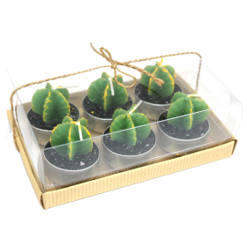 5x Set of 6 Monks Cactus Tealights in Gift Box
