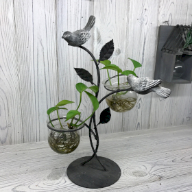 Hydroponic Home Décor - Two Pots and Birds