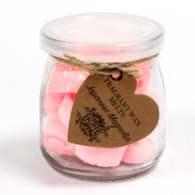 6x Soywax Melts Jar - Japanese Magnolia