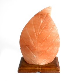 Salt Lamp - UK Plug - Fern Shaped