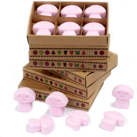 5x packs Wax Melts - Ylang Ylang