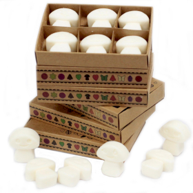 5x packs Wax Melts - White Musk