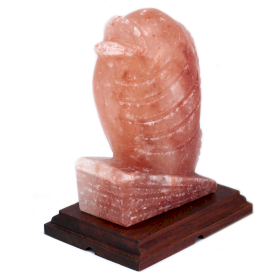 Fish Shaped Salt Lamp - UK plug