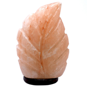 Crafted Salt lamp - UK Plug - Fern 3x5x7 inch