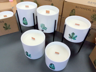Botanical Candles - Starter