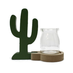 Hydroponic Home Décor - Cactus Pot