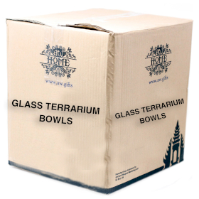 48x Full Carton All Glass Terrarium - Small Hanging Wall Bowl