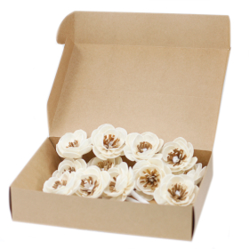 12x Natural Diffuser Flowers - Small Poppy on String