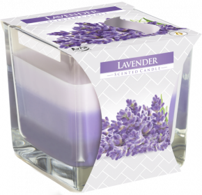 6x Rainbow Jar Candle - Lavender