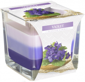 6x Rainbow Jar Candle - Violet