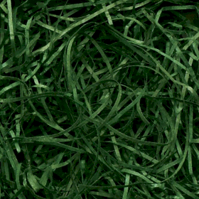 Very Fine Shredded paper - Forest Green 0.5kg