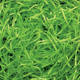 Very Fine Shredded paper - Lime Green 0.5kg