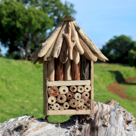 Driftwood Bee & Insect Double Box