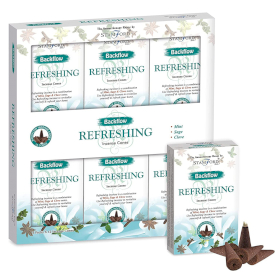 6x Aromatherapy Backflow Cones - Refreshing