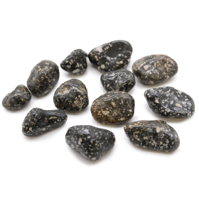 12x Medium African Tumble Stone - Guinea Fowl Medium