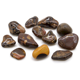 12x Medium African Tumble Stones - Picture Nguni