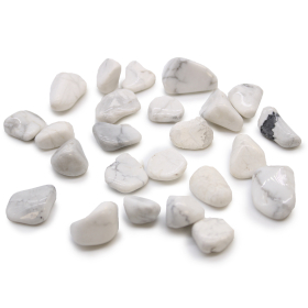 24x Small African Tumble Stone - White Howlite - Magnesite