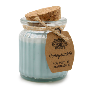 6x Blue Honeysuckle Soy Pot of Fragrance Candles