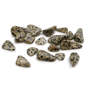 24x M Tumble Stone - Dalmatian Stone