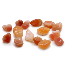 24x M Tumble Stone - Carnelian