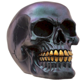 Dark Metallic and Gold Skull Decoration (asst)