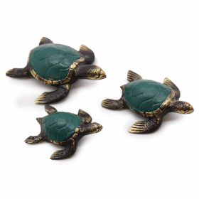 Sea Turtles - Set of 3