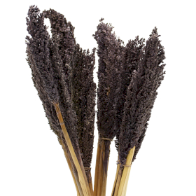 6x Cantal Grass Bunch - Black