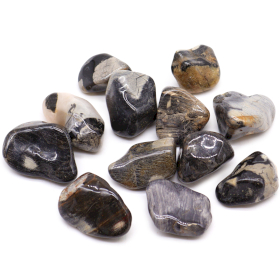 12x Medium African Tumble Stone - Jasper Silver Leaf