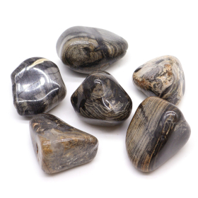 6x Large African Tumble Stone - Jasper Silver Leaf