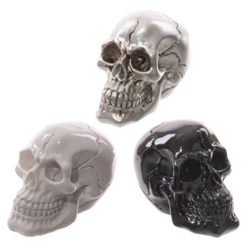 12x Gruesome Small Skull Decorations (3 asst)
