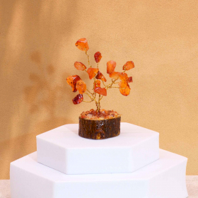 12x Mini Gemstone Trees On Wood Base - Carnelian (15 stones)