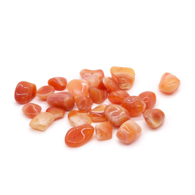 24x L Tumble Stone - Carnelian