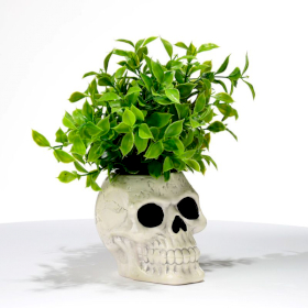 2x Ancient Skull Shaped Ceramic Garden Planter/Plant Pot